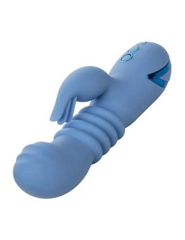 Santa Cruz Coaster Blue