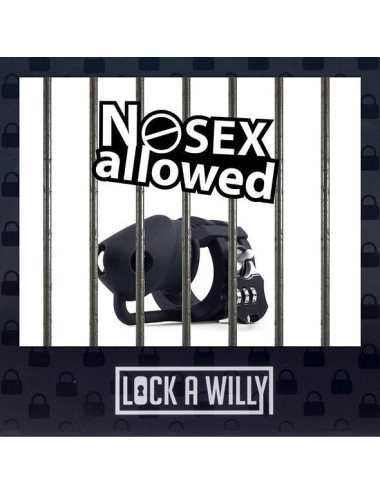 Lock-a-Willy