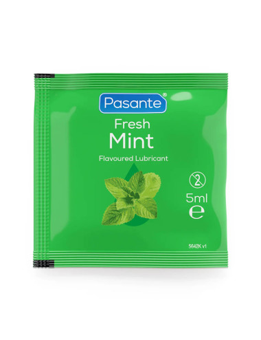 Pasante Flavoured Lube Sachets 5ml x 144pcs