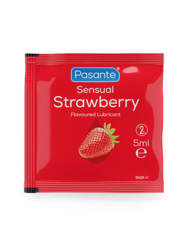 Pasante Flavoured Lube Sachets 5ml x 144pcs