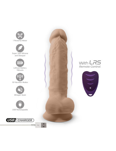 Model 1 8 Vibration + LRS