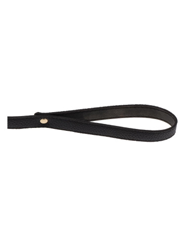 Statement Collar and leash Rose Gold