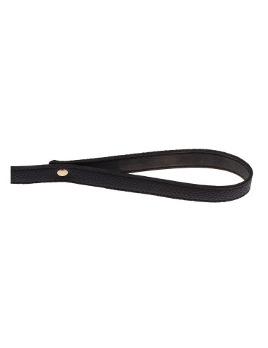 Statement Collar and leash Rose Gold