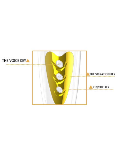 PRETTY LOVE - Masturbator Vagina SALLY 12 function vibrations