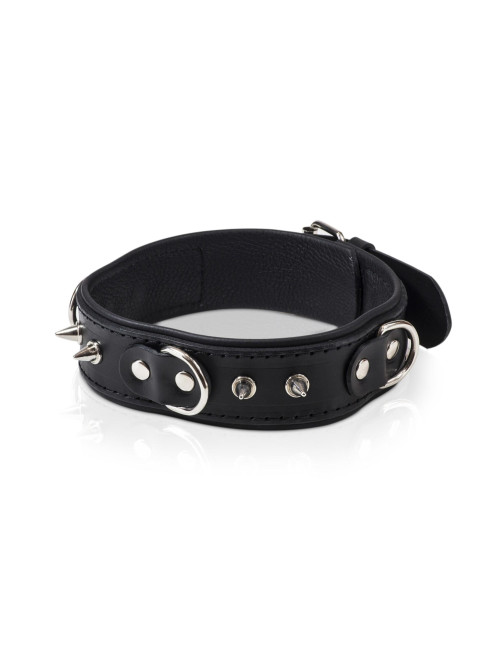 Whips Collection Obroża Męska z Smyczą i Półkółkami
