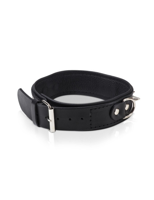 Whips Collection Obroża Męska z Smyczą i Półkółkami