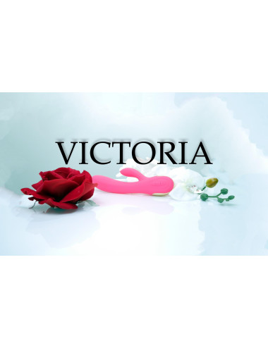 Wibrator-Silicone Vibrator USB 7 Function + Booster / Heating