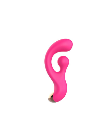 Sani Rotaing Vibrator