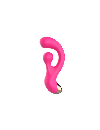 Sani Rotaing Vibrator