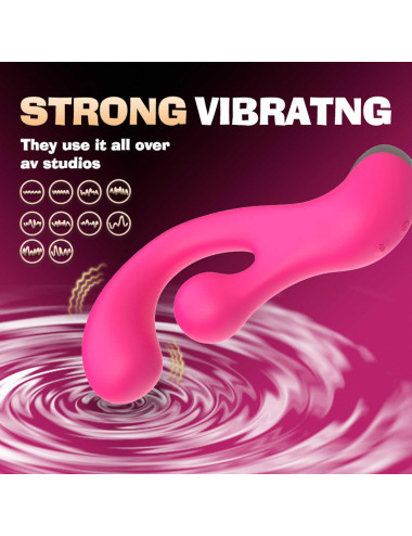 Sani Rotaing Vibrator