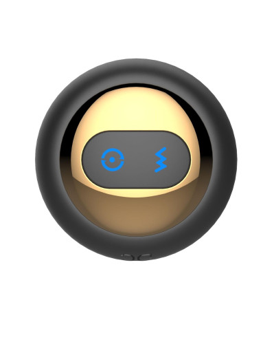 Rotating remote anal plug