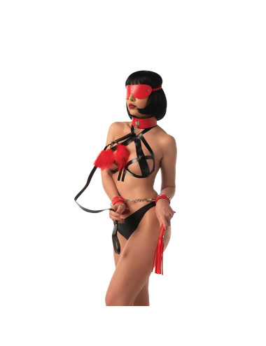 Bondage Set consists of 5 BDSM pieces