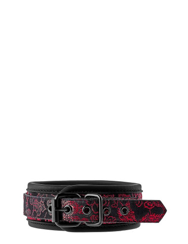 BLAZE DELUXE COLLAR & LEASH