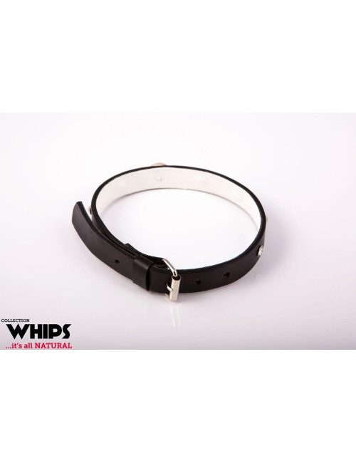 Whips Collection – Elegancka Biała Obroża Damska