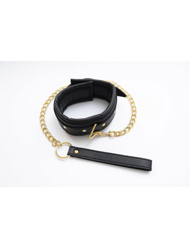 Collar with detachable leash