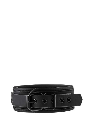 BLAZE COLLAR AND LEASH BLACK