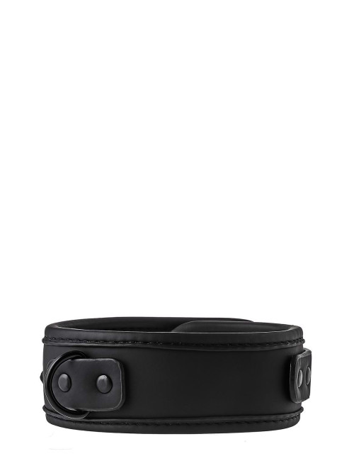 BLAZE COLLAR AND LEASH BLACK
