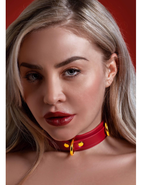 D-Ring Collar Deluxe Red