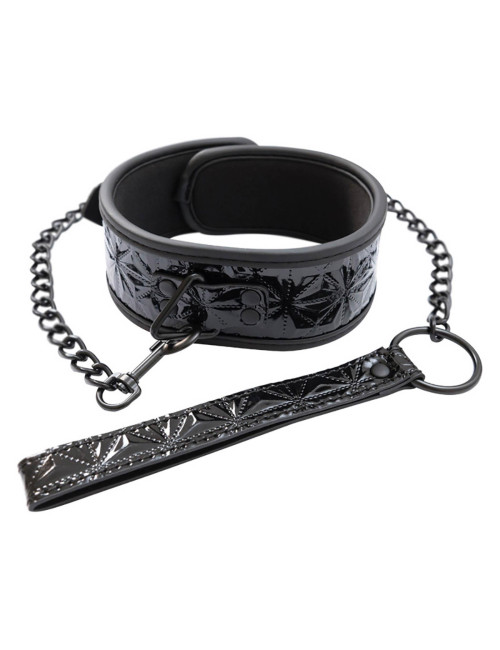 Collar with detachable leash