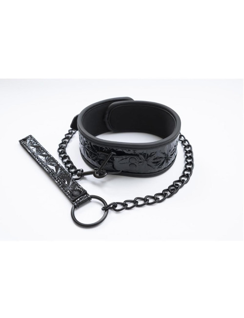 Collar with detachable leash