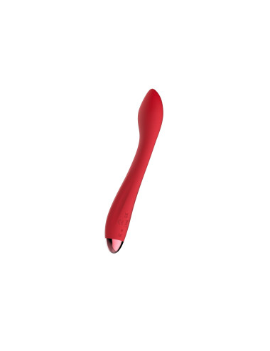 Wibrator - Rechargeable G Spot USB 10 Functions