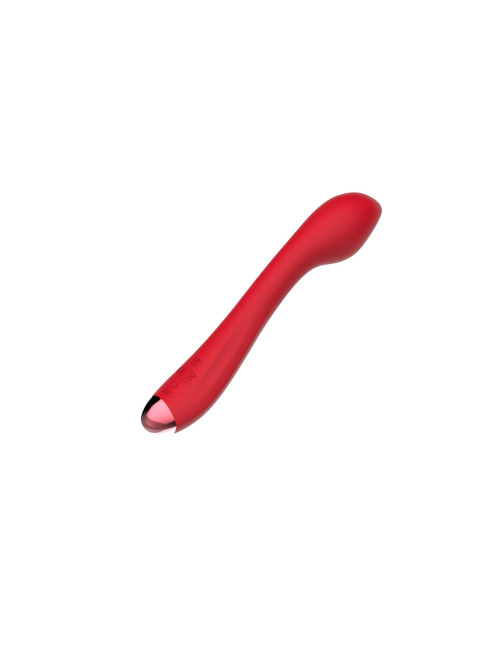 Wibrator - Rechargeable G Spot USB 10 Functions