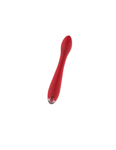 Wibrator - Rechargeable G Spot USB 10 Functions