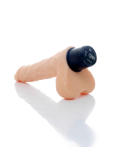 Wibrator-CYCLONE-12function vibrator