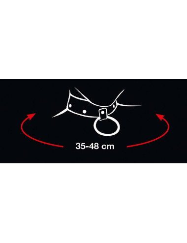 Collar and Leash
