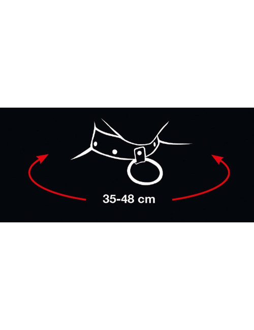 Collar and Leash