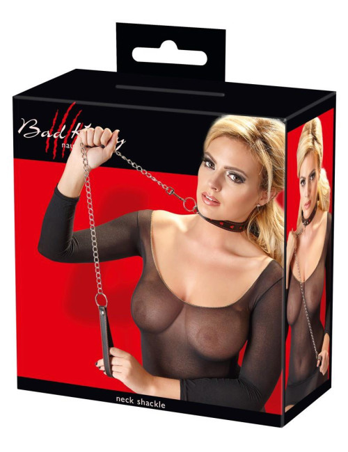 Collar and Leash