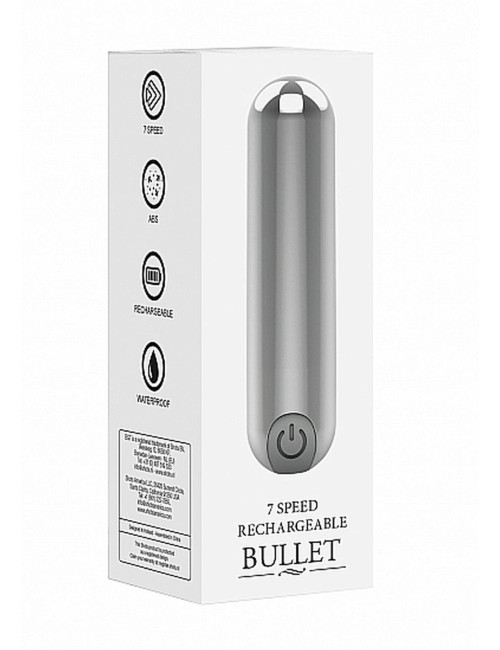 10 Speed Rechargeable Bullet - Silver
