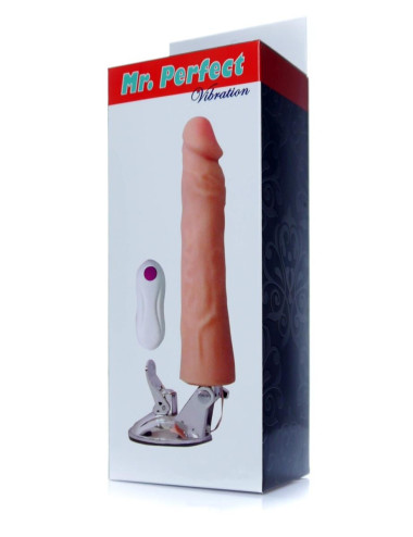 Wibrator-Mr. Perfect Vibration 12 functions