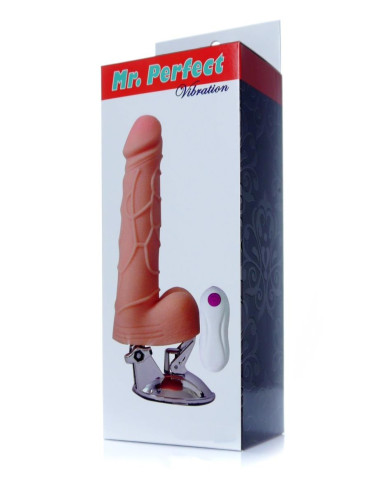 Wibrator-Mr. Perfect Vibration 12 functions