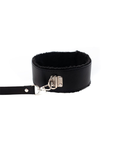 Collar with detachable leash