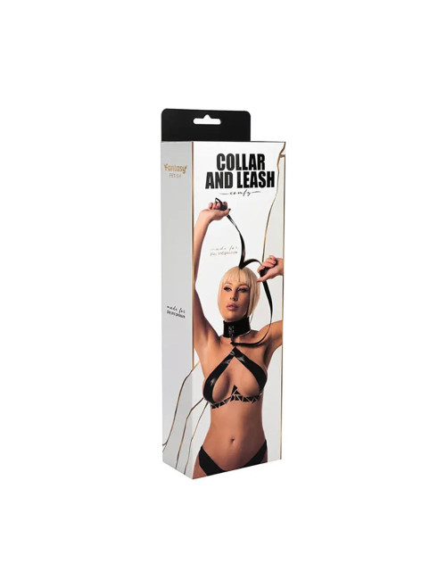 Collar with detachable leash