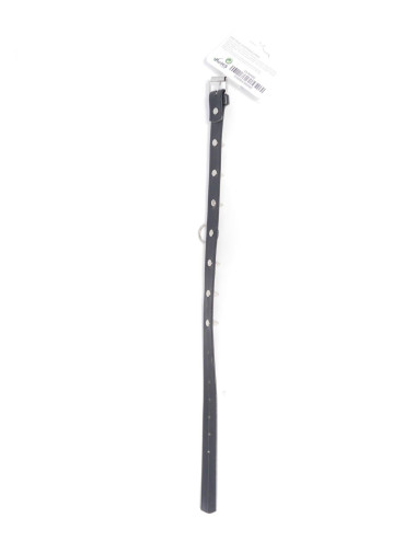Fetish B - Series Collar with studs 2 cm