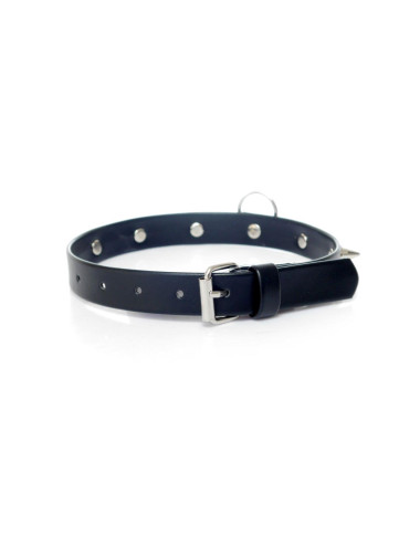 Fetish B - Series Collar with studs 2 cm