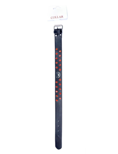 Obroża fetiszowa z czerwonym kryształem Fetish B-Series 3 cm