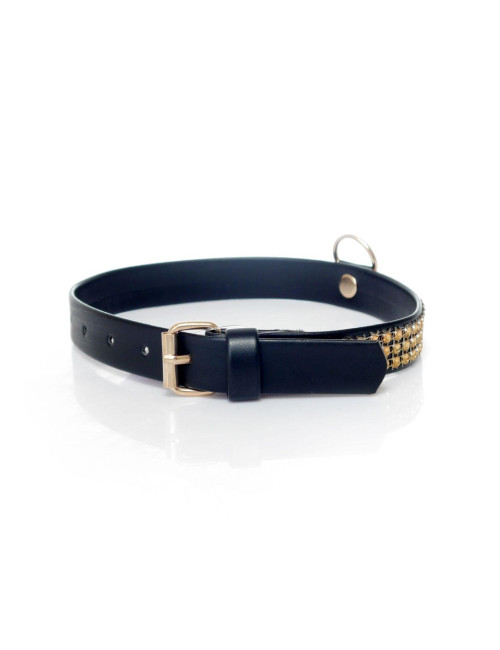 Fetish B - Series Collar with crystals 2 cm gold