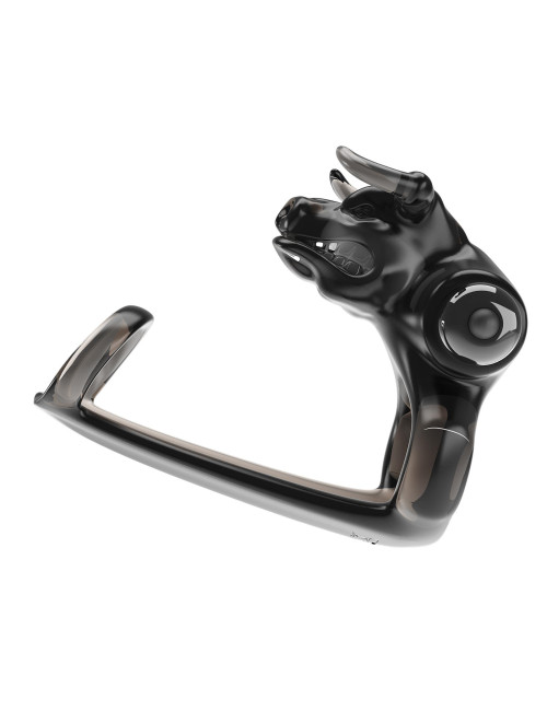 BULL WARRIOR, 10 vibration functions