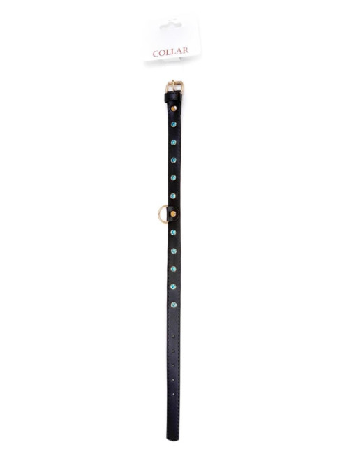 Fetish B - Series Collar - 2 cm turquoise crystal