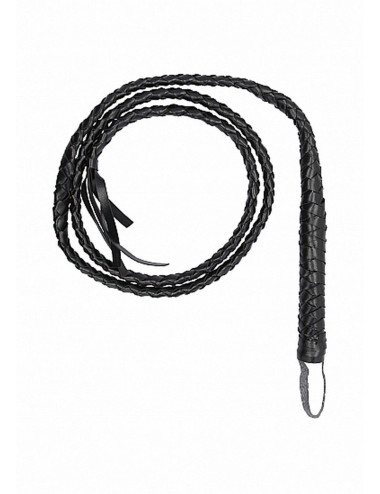 Twisted Whip
