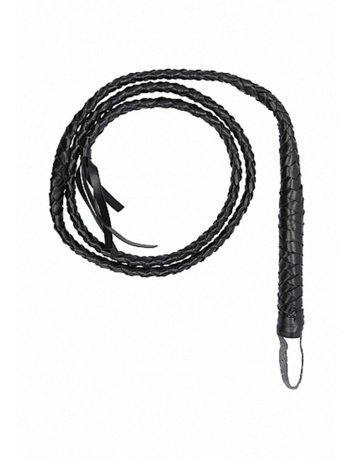 Twisted Whip
