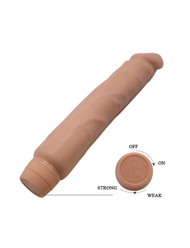 BAILE- Multispeed Flexible Vibrator