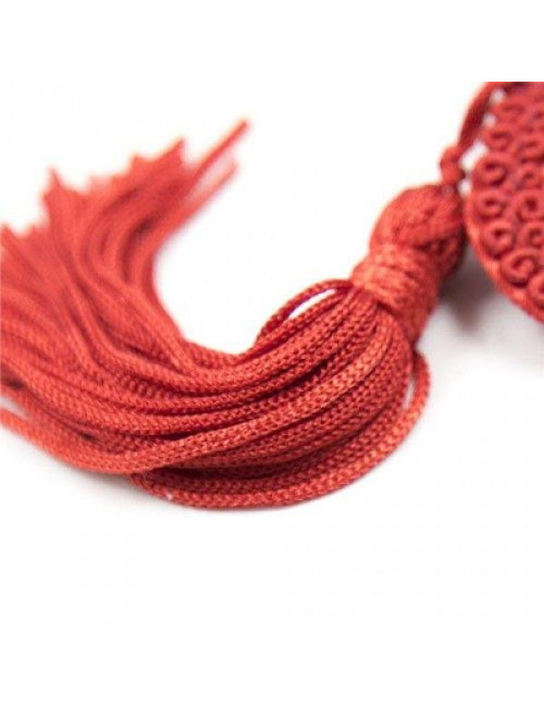 Bielizna-Heart Nipples Tassels RED
