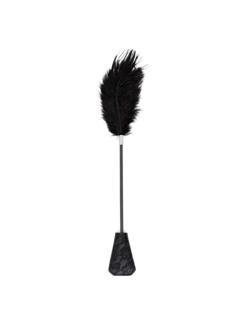 Fetish B-Series Tickler & Whip 1.0