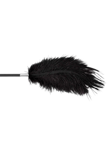 Fetish B-Series Tickler & Whip 1.0
