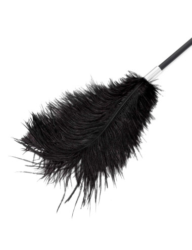 Fetish B-Series Tickler & Whip 1.0
