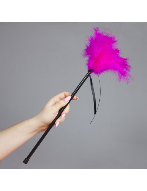 Plumero Plumas Fucsia